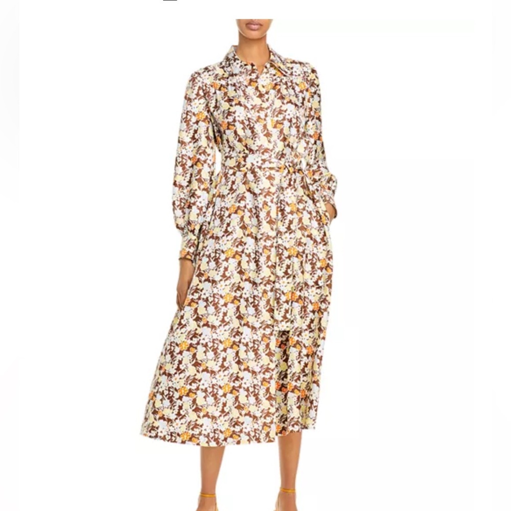 Artist Silk Printed Shirt Dress